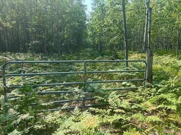 Lake City, MI 49651,NN W Erdman Road