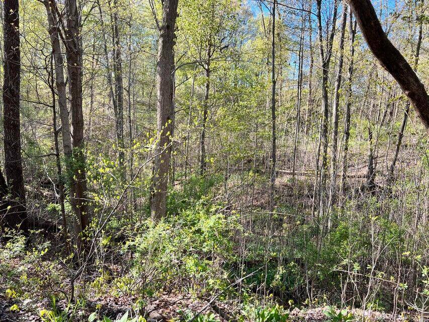 Berrien Springs, MI 49103,8249 Parcel C M-139