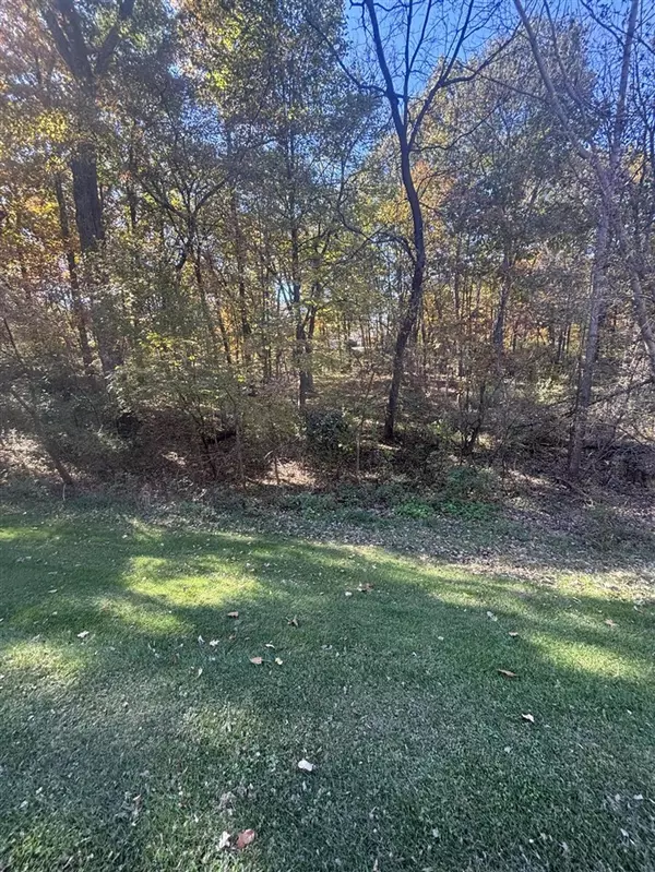 Whitmore Lake, MI 48189,Strawberry Lake Vacant Lot Road