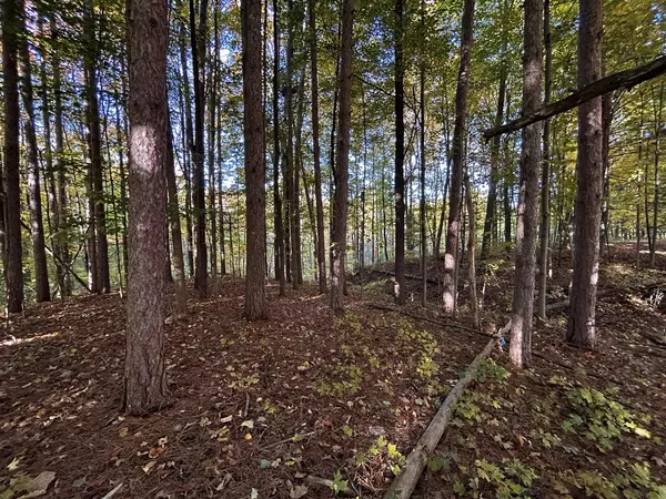 South Haven, MI 49090,13809 Deer Creek Drive