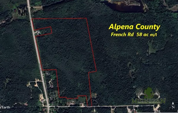 Alpena, MI 49707,0VL French Rd