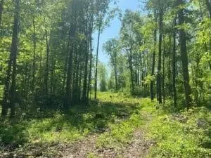 V.L. E Predmore Road, Update, MI 48363