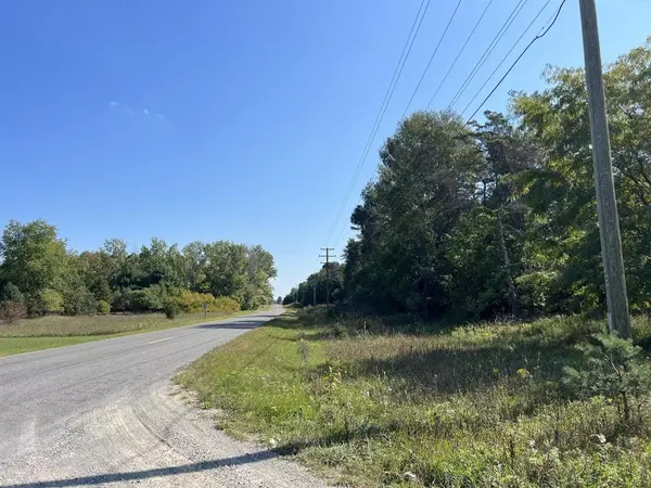 Scottville, MI 49454,VL W First St-Parcel D,