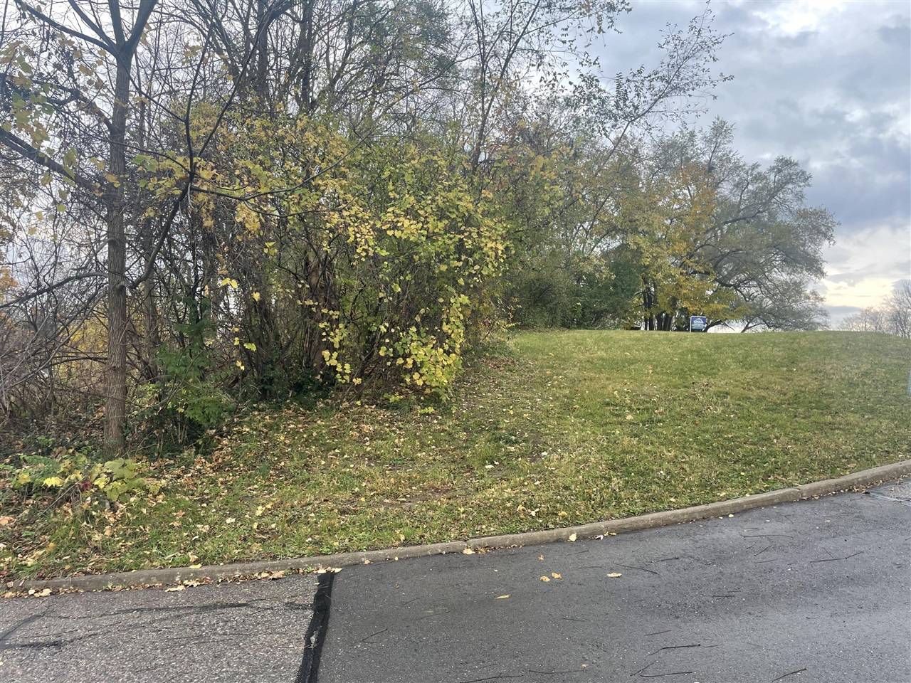 Ypsilanti, MI 48197,317 Orchard Street