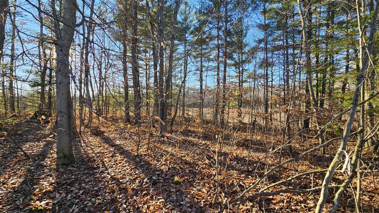 Kalkaska, MI 49646-8641,1621 Baker Road