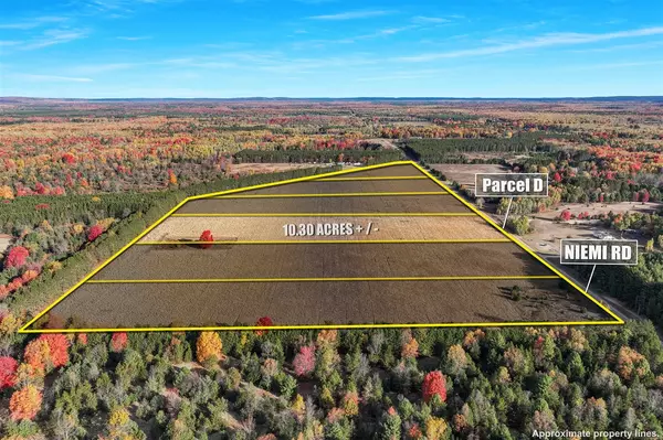 Kaleva, MI 49645,0 V/L 10.30 ACRES Niemi Road