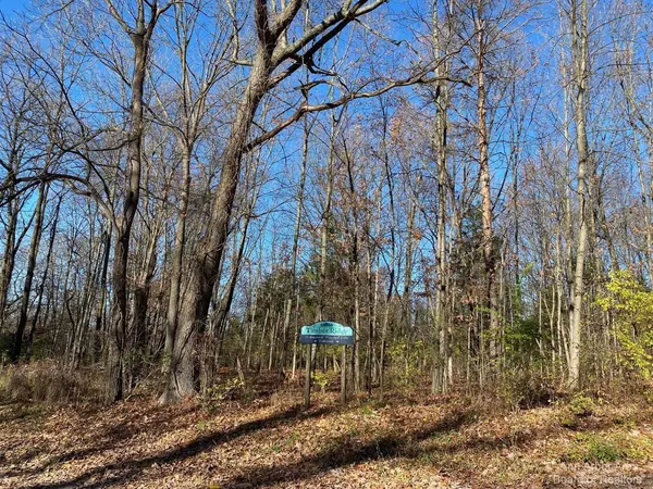 Whitmore Lake, MI 48189-8168,9010 Timber Lane