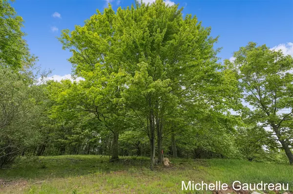 Freeport, MI 49325,Parcel 7 Leaf Lane