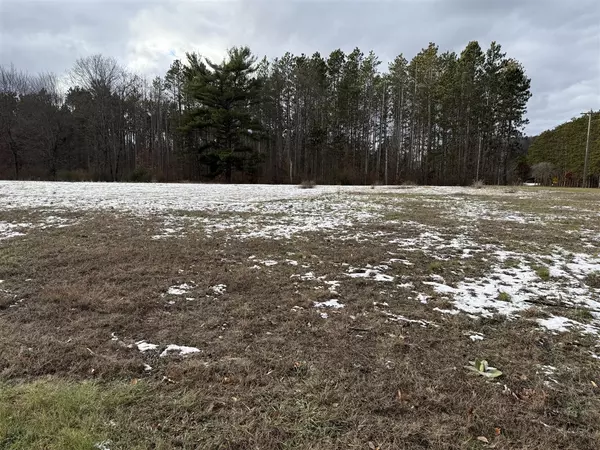 Stanwood, MI 49346-9165,7977 Sandy Lane