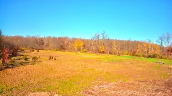 Lawton, MI 49065,Lot D Ewing Rd
