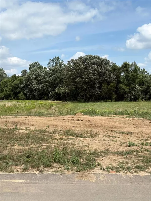 Byron Center, MI 49315-9716,Parcel A Windward Avenue