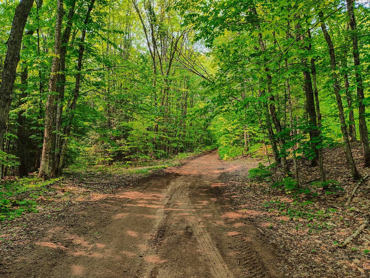 V/L Tower Road, Mcmillan, MI 49853