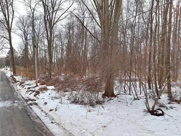 Dowagiac, MI 49047,VL Ellen Road