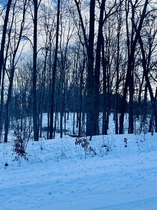 Vicksburg, MI 49097,6772 Amelia Drive