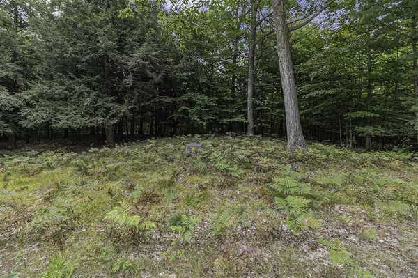 Mears, MI 49436,Lot 14 Pine Street