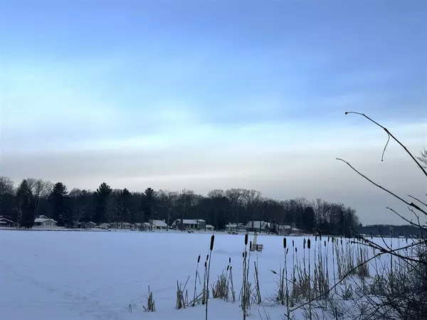 Irons, MI 49644,00 W W Walsh Court