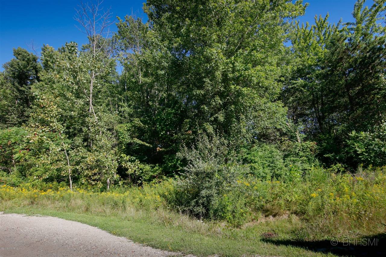 South Haven, MI 49090,Maple Street