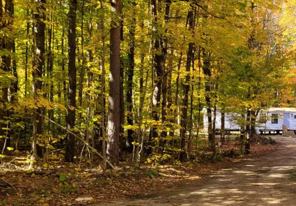 Mancelona, MI 49659,8804 Aspen Road