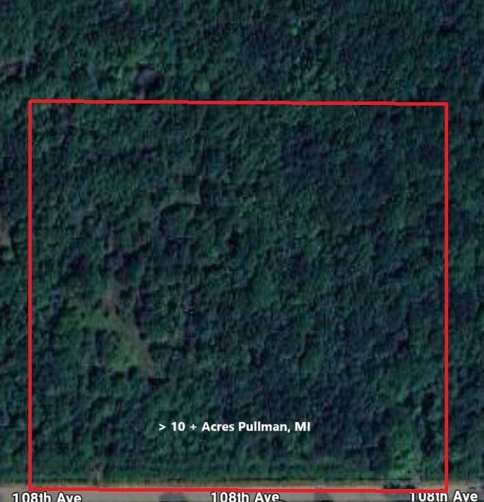 Pullman, MI 49450,V/L 5953 108TH AVE