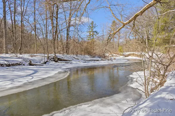 Howard City, MI 49329-9713,9588 E New River Drive