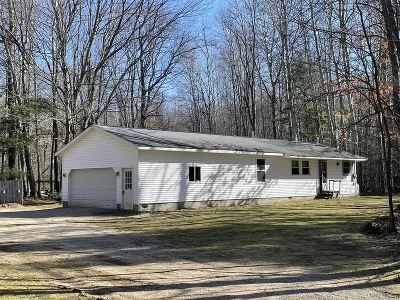 18150 Stronach Dam Road, Wellston, MI 49689-9523