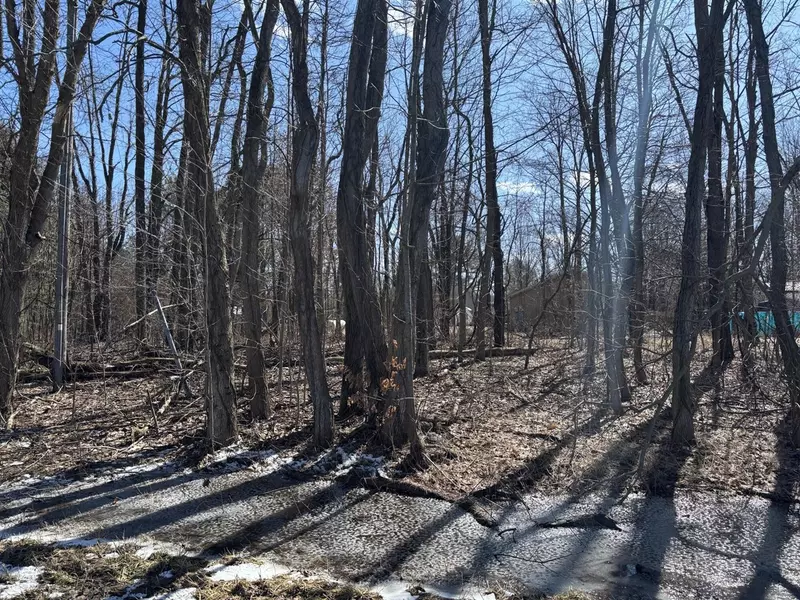 24th Avenue, Grand Junction, MI 49056