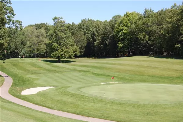 Canadian Lakes, MI 49346,6833 Beechnut Ridge
