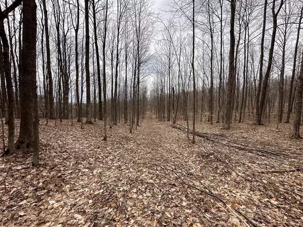 Mancelona, MI 49659,10 V/L Valley Road