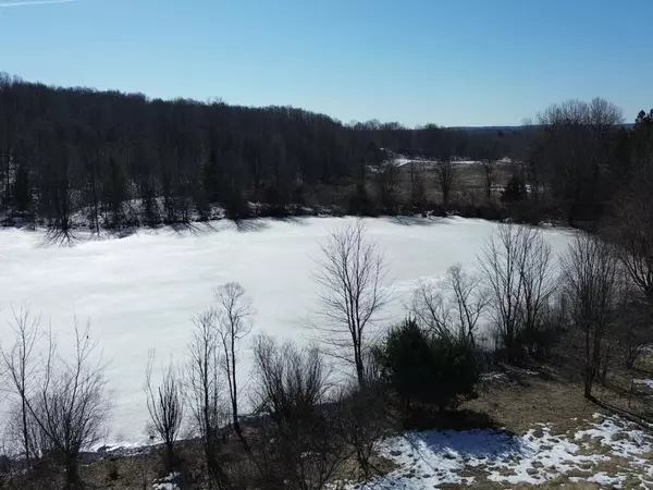 V/L 30A E Pierce Road, Shelby, MI 49455