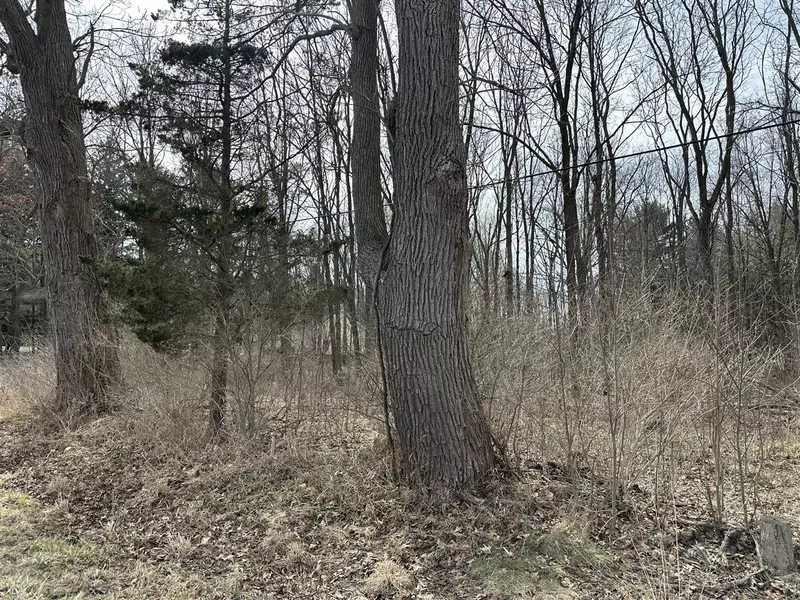 00 M-99, Albion, MI 49224