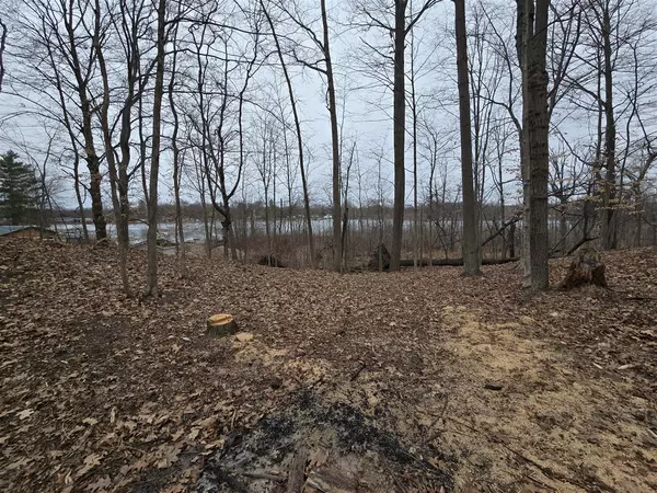 Reading, MI 49274-9615,2480 Bluff Drive