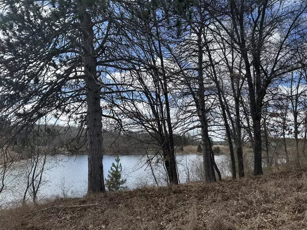 Canadian Lakes, MI 49346,12305 Summerhill Drive