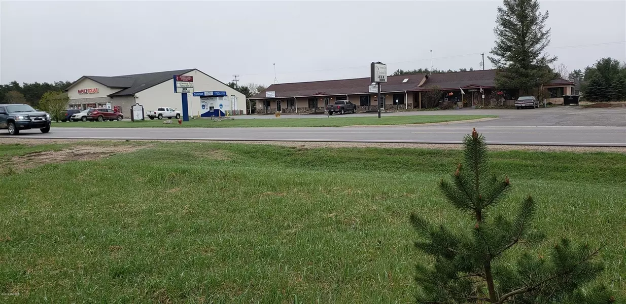 860 W Shaw Street Street, Howard City, MI 49329