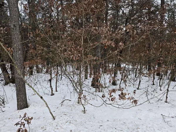 V/L Unity, Idlewild, MI 49642