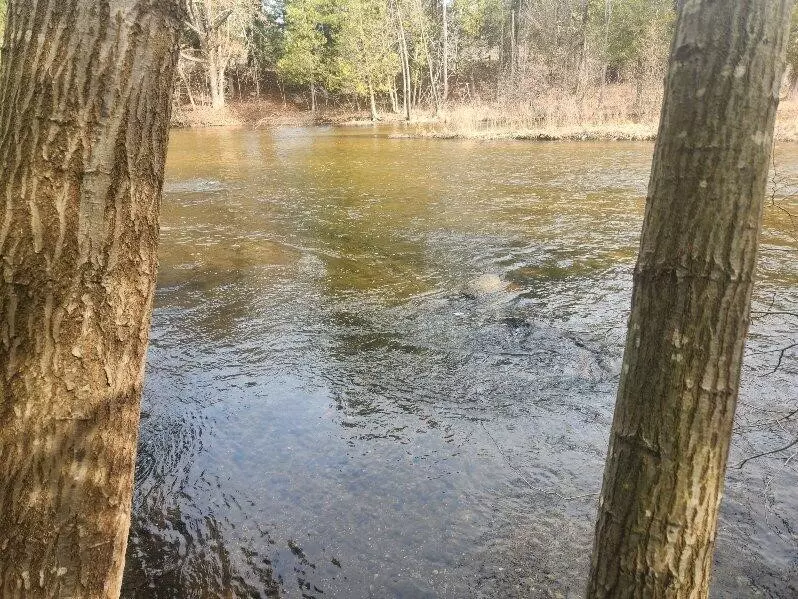 V/L N Meadowbrook Road, White Cloud, MI 49349