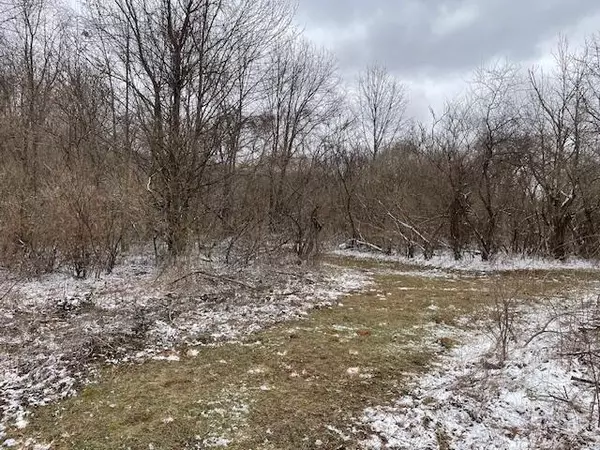 130th, Fennville, MI 49408