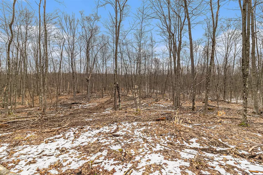 00 E Oakwood Trail, Reed City, MI 49677