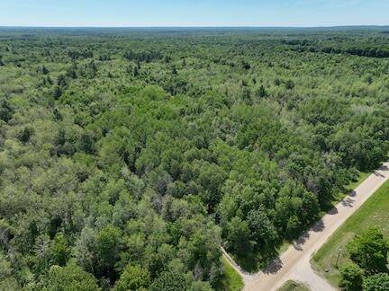 Bitely, MI 49309,00 V/L Comstock Ave