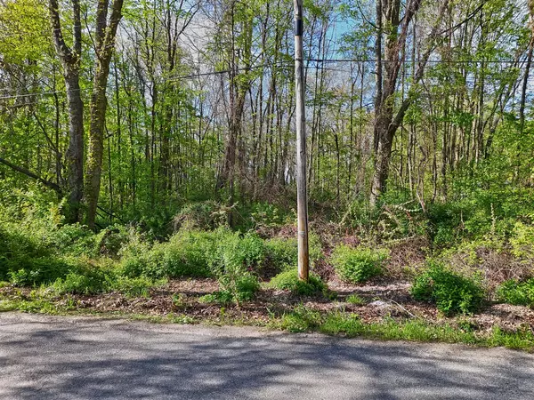 Dowagiac, MI 49047,VL Ellen Road