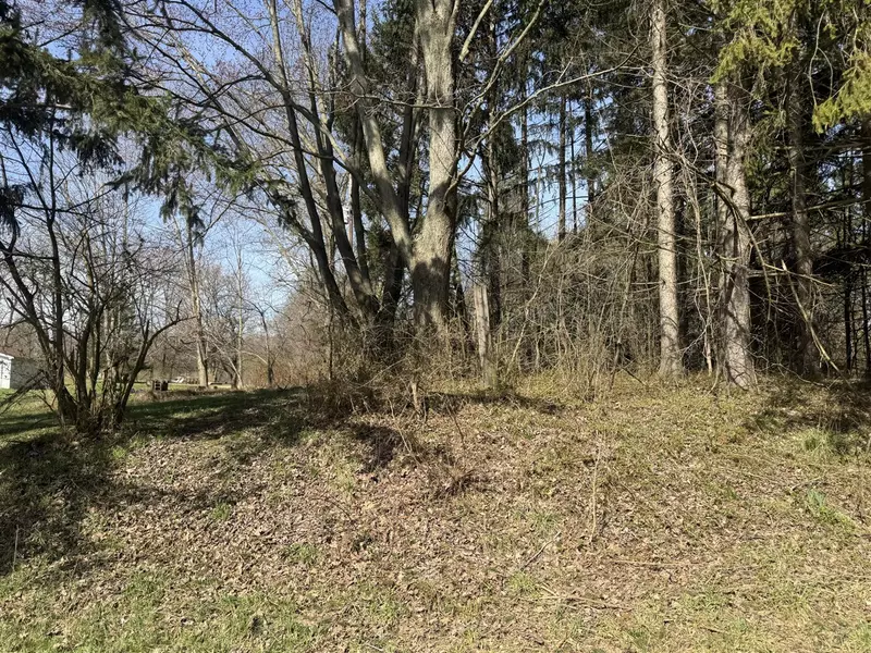 16802 Runyon Road, Buchanan, MI 49107-9255