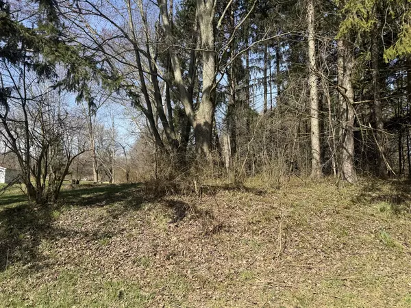 Buchanan, MI 49107-9255,16802 Runyon Road