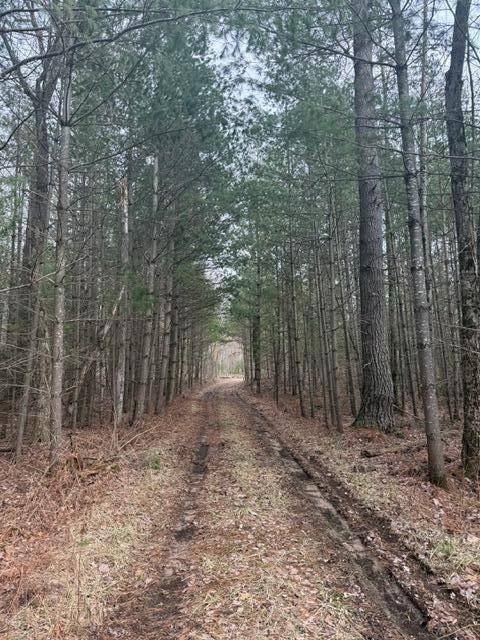 Chase, MI 49623,10 Acres +/- V/L S Queens Hwy