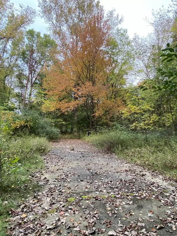 10005 50th Street, Grand Junction, MI 49056-9407