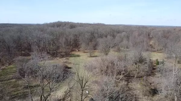 12100 Woodland Trail, Davisburg, MI 48350