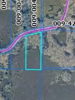 V/L 0000 W CROOKED LAKE RD, Lake City, MI 49651