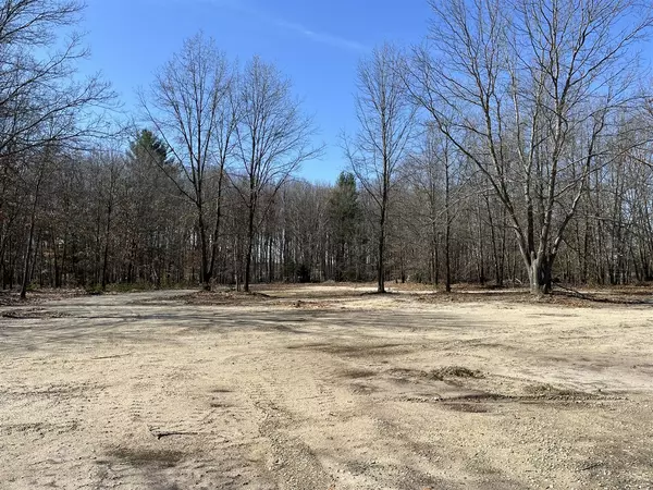 Hesperia, MI 49421,VL S 192nd Avenue