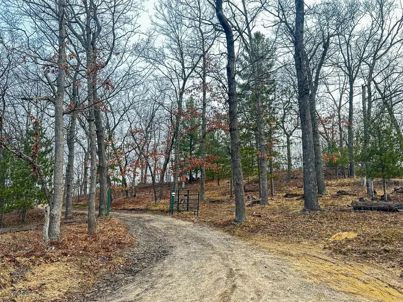 4020 W 9 Mile Road, Irons, MI 49644-9347