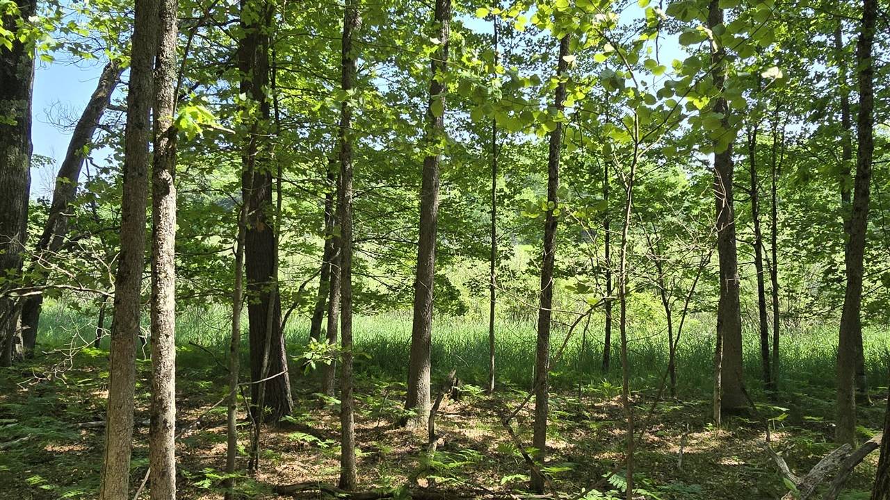 Coates Highway, Brethren, MI 49619