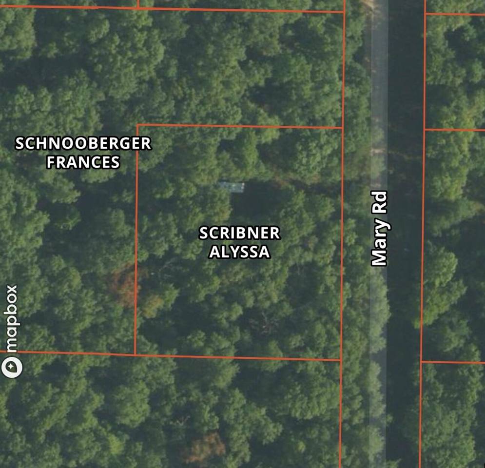 Wellston, MI 49689,Mary Street