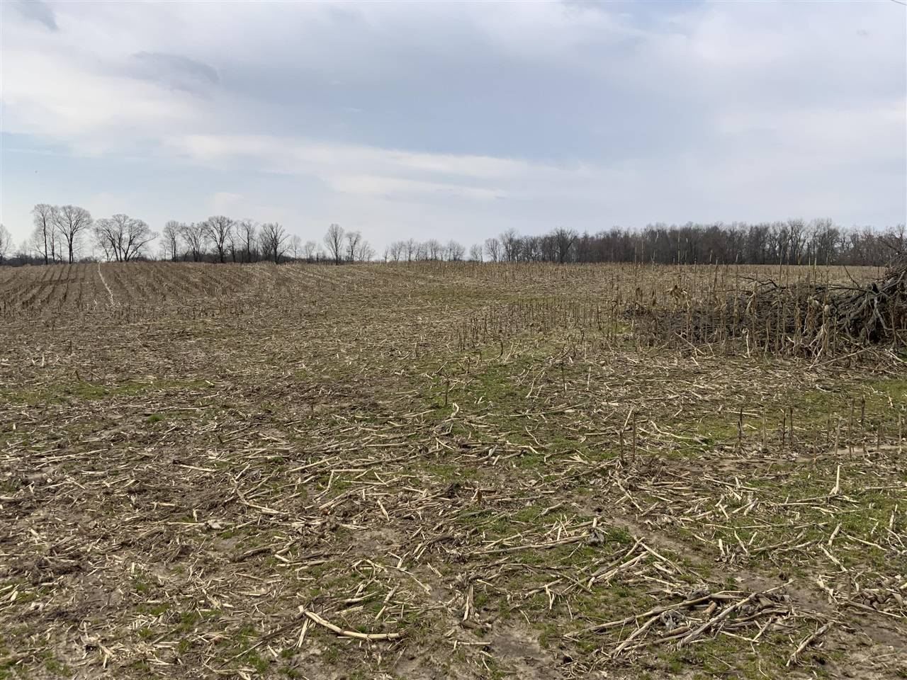 Spring Arbor, MI 49283,0 Mathews Rd Parcel D